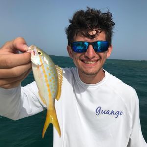 Meet your Posher, Marco